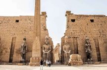 (Private) Half Day Tour Luxor Temple and Karnak Temples