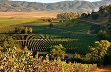 Full day Private Tour in Casablanca Valley