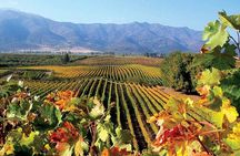 Full day Private Tour in Casablanca Valley