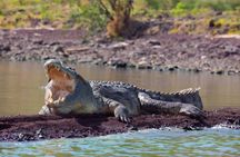 2 Days Safari Adventure to Awash National Park Ethiopia