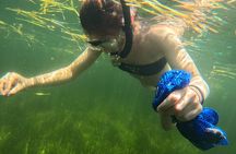 Big 3 Scalloping Charters