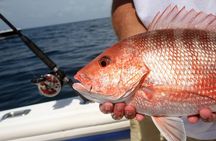 Private Key West Fishing & Sandbar or Snorkel Charter 