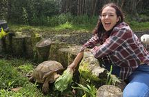 Ranch Tour & Animal Encounters