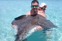 Stingray City Sandbar Experience