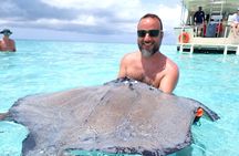 Stingray City Sandbar Experience