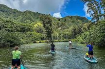 Stand Up Paddle Boarding Adventure in Windward Oahu