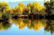 Private 8-Hour Albuquerque Tour: A VIP City Experience