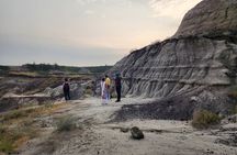 1 Day Drumheller Private Minibus Dinosaurs Hoodoos Bridges Canyon