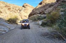 Ultimate Adventure: RZR + Ghost Town + Gold Mine + Games + Lunch