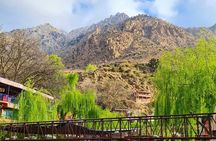 Ourika Valley Private Trip: Waterfalls & Atlas Mountains