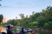 Downtown Houston Bat and Skyline Kayaking Tour