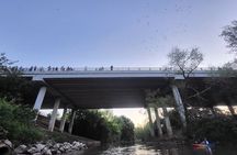 Downtown Houston Bat and Skyline Kayaking Tour