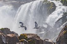 Scenic River Boat Tour on the Willamette River