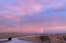 Badlands Alive: A Day in Wild and Wondrous Lands