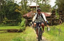 Downhill Cycling Ubud with Volcano, Rice Terrace and Educational