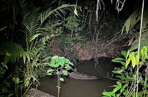Night Adventure at Soberania National Park