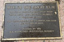 Boston Common, Beacon Hill, & Public Garden Tour with Photoshoot