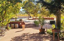 Small-Group Murray River Adventure - Paddle Steamer & Wildlife
