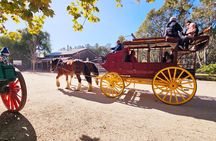 Small-Group Murray River Adventure - Paddle Steamer & Wildlife