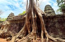 Full Day Angkor Temples Tour with Sunset