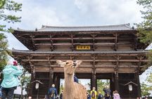 Private Kyoto Nara Tour by Car with Deer, Buddha and More