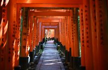 Private Kyoto Nara Tour by Car with Deer, Buddha and More