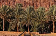 AlUla Oasis Heritage Trail Guided Walking Tour