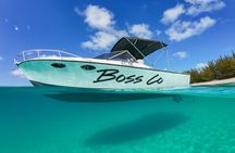 Swim with Famous Pigs at Rose Island