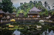 Experience Ubud Highlights Private Tour