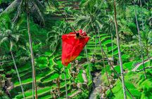 Experience Ubud Highlights Private Tour
