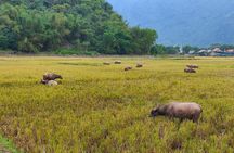 Mai Chau in 1 Day: Cycle Through Vietnam’s Peaceful Villages