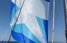 Catamaran 2.5h Morning Sailing Manilva Tapas Welcome Drink Dolphins