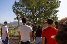 Alicante Olive Oil Tour
