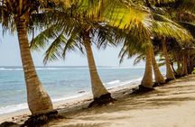 Upolu: Private Tour - Beach, Waterfall and Ocean Trench