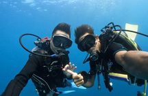 Premier Dive Spots Experience in Kushimoto