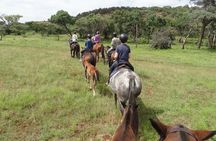 Horseback Safari Tour