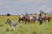 Horseback Safari Tour