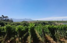 Stellenbosch Wine and Franschhoek Tram Tour experience 