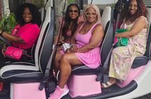 Mobile Wine Tasting and Food Pairing Tour St. Augustine