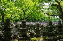 Kyoto’s Ultimate Hidden Gem: Private Car Tour to a Sacred Shrine