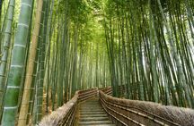 Kyoto’s Ultimate Hidden Gem: Private Car Tour to a Sacred Shrine
