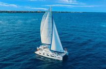Half-Day Luxury Sailing in Puerto Morelos with Open Bar