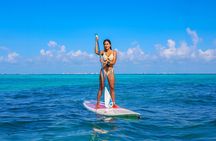 Half-Day Luxury Sailing in Puerto Morelos with Open Bar