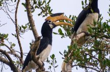 Yala National Park: Half day or Full Day Leopard Safari Tour
