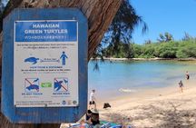 North Shore Circle Island Adventure