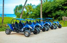 Buggy Adventure in South Zanzibar