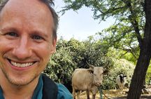 Multi-Day Village Stay: Cook, Milk Cows, Fetch Water with Donkey