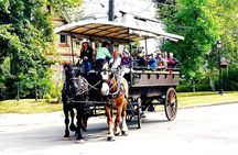 Horse Drawn Historical Guided Tour