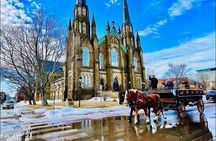 Horse Drawn Historical Guided Tour