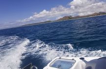 Offshore Deep Sea Fishing Boa Vista - Cabo Verde